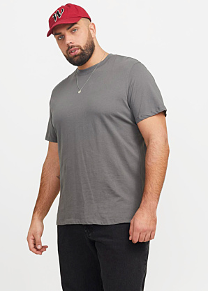 Jack & Jones Plus T-krekls Bradley