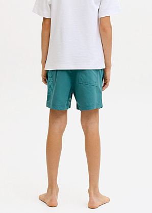 Пляжные шорты Maui Jack & Jones