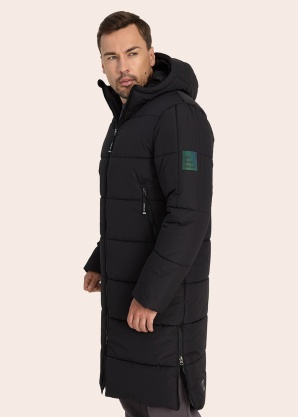 Huppa ziemas metelis Harto 1