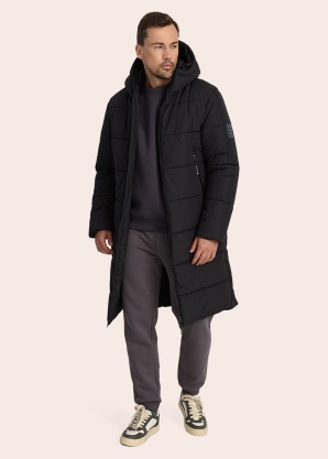 Huppa ziemas metelis Harto 1