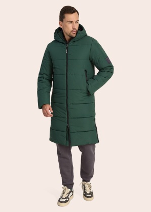 Huppa ziemas metelis Harto 1