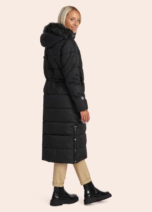 Huppa ziemas metelis Gudrun