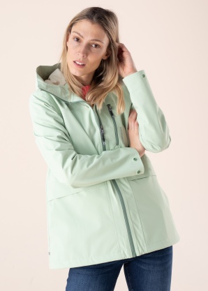 Didriksons pavasara-rudens virsjaka Wida