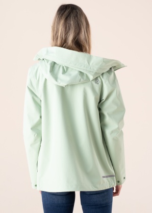 Didriksons pavasara-rudens virsjaka Wida