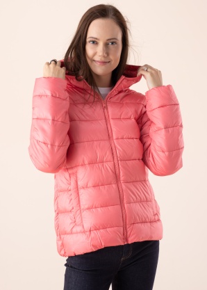 Champion pavasara-rudens virsjaka