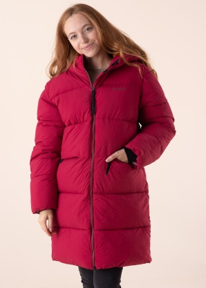 Didriksons ziemas metelis Nomi