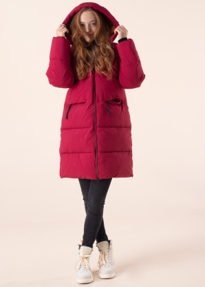 Didriksons ziemas metelis Nomi