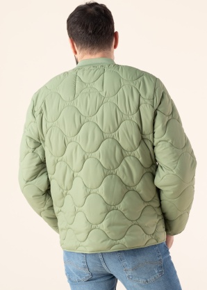 Mustang pavasara-rudens virsjaka Daniel