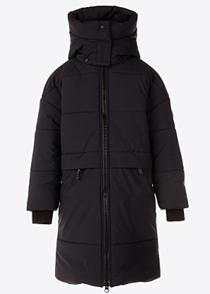 Lenne ziemas metelis