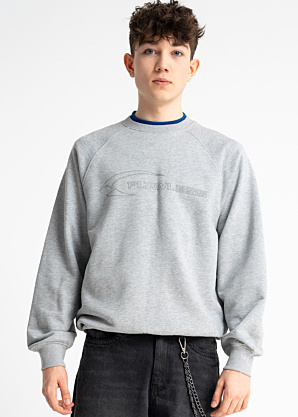 Кофта Reporter Young