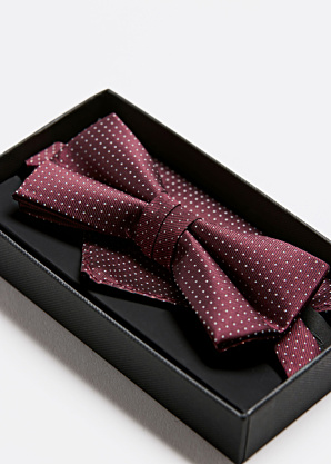 Lindbergh tauriņš un kabatas lakatiņš dāvanu kastītē