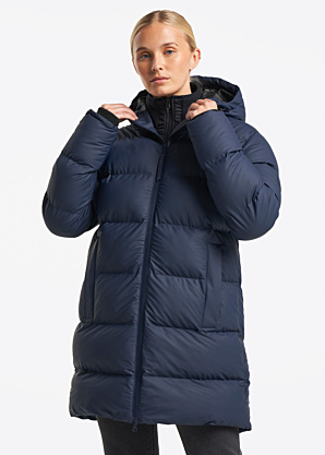 Tenson ziemas metelis