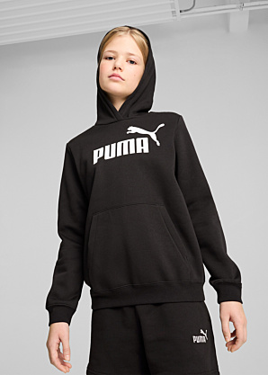 Puma džemperis Ess No.1 Logotips Goodie Fl