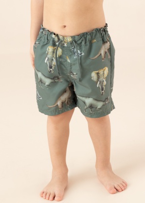 Плавательные шорты Zimon Name It Mini