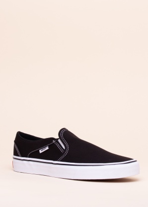 Vans kedas Asher