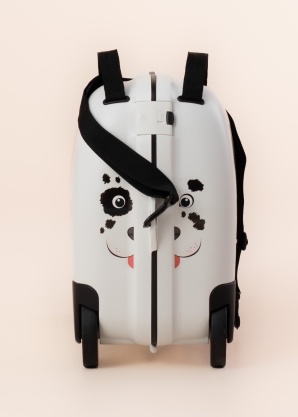 Samsonite koferis Dream2go