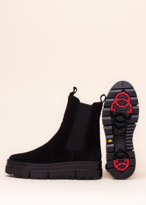 Aaltonen puszābaki ar radzēm