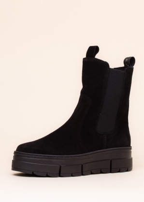 Aaltonen puszābaki ar radzēm