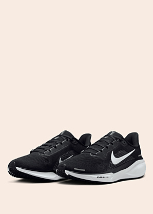 Nike apavi skriešanai Air Zoom Pegasus 41