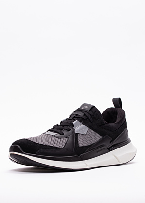 Ecco apavi soļošanai Biom 2.2 M