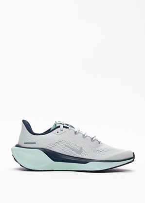 Nike apavi skriešanai Air Zoom Pegasus 41