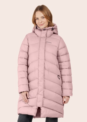 Didriksons ziemas metelis Marion