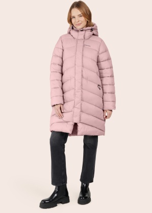 Didriksons ziemas metelis Marion