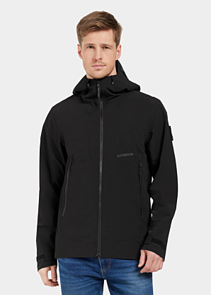 Didriksons pavasara-rudens virsjaka