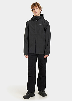 Didriksons pavasara-rudens virsjaka Dario