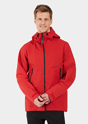 Didriksons pavasara-rudens virsjaka