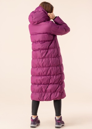 Huppa ziemas metelis Naima