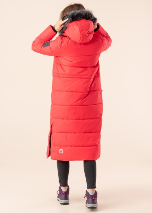 Huppa ziemas metelis Gudrun