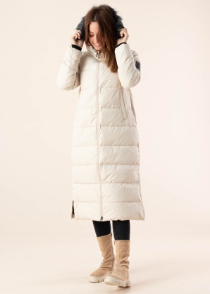 Huppa ziemas metelis Gudrun