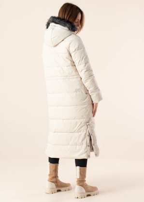 Huppa ziemas metelis Gudrun