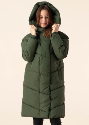 Noisy May ziemas metelis New