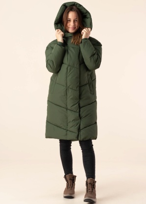 Noisy May ziemas metelis New