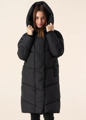 Noisy May ziemas metelis New