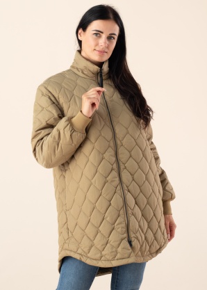 Didriksons pavasara-rudens virsjaka Gabbi