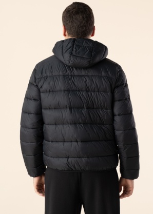 Champion pavasara-rudens virsjaka