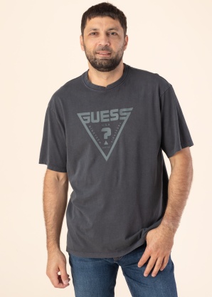 Футболка Alino Guess