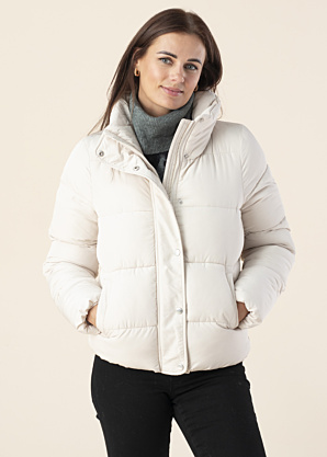 Only Ziemas virsjaka Newcool