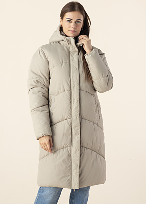 Noisy May ziemas metelis Tenna