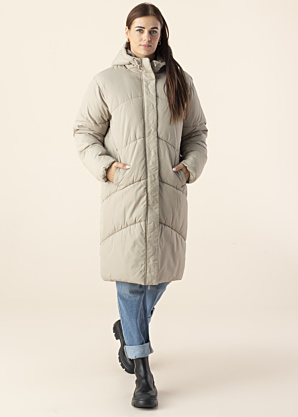 Noisy May ziemas metelis Tenna