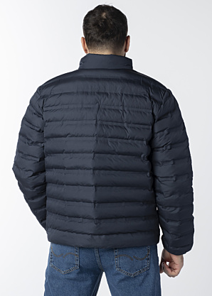 Mustang pavasara-rudens virsjaka