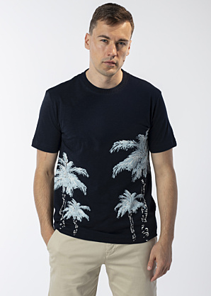 Футболка Tom Tailor