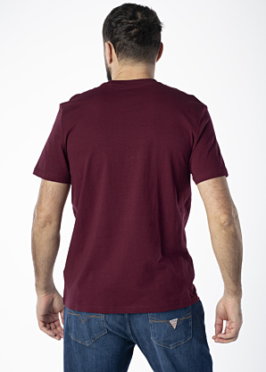 Футболка Cochise Guess