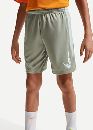 Брюки Trphy23 Nike