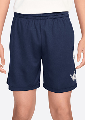 Брюки Multi Nike