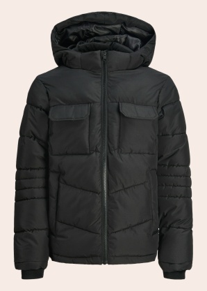 Jack & Jones Ziemas virsjaka Build