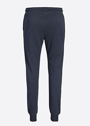 Jack & Jones sporta bikses Gordon Archive